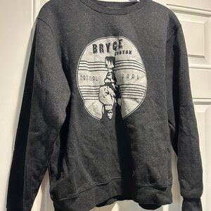 Bryce Canyon Graphic Sweatershirt - grey
